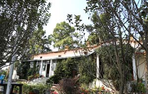 Deodar Homestay in Almora