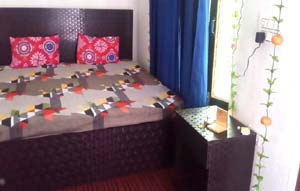 Evergreen Homestay in Almora