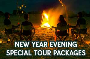 new year eve special tour tour package