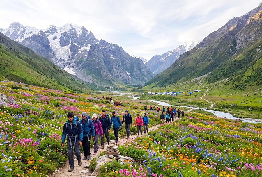 Valley of Flowers tour package